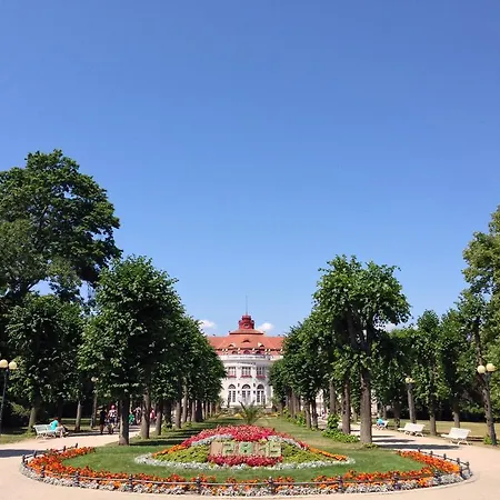 Elizaveta 2 アパート